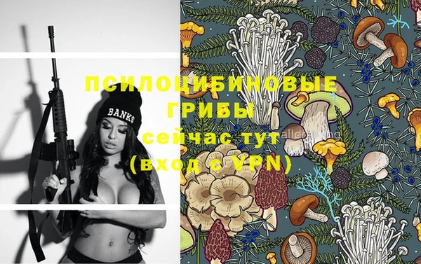 mdpv Алзамай